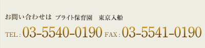 社会福祉法人済聖会　ブライト保育園　東京入船